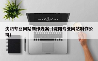 滨州沈阳专业网站制作方案（沈阳专业网站制作公司）